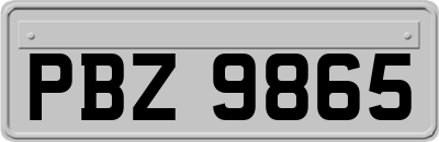 PBZ9865