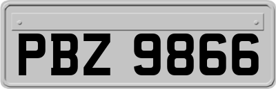 PBZ9866