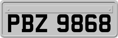 PBZ9868