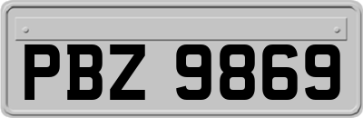 PBZ9869