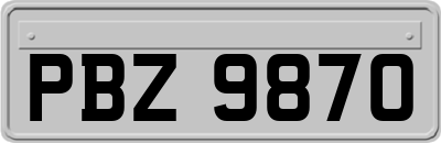 PBZ9870