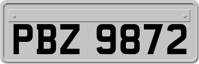 PBZ9872