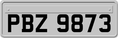 PBZ9873