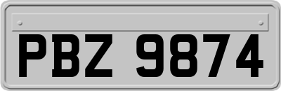 PBZ9874