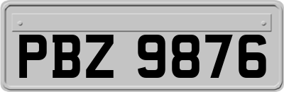 PBZ9876