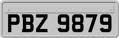 PBZ9879