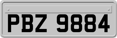 PBZ9884