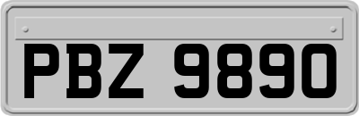 PBZ9890