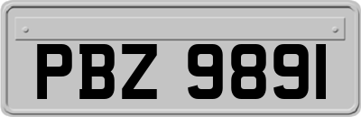 PBZ9891