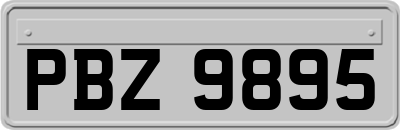 PBZ9895