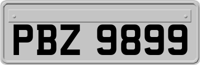 PBZ9899