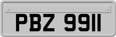 PBZ9911