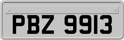 PBZ9913