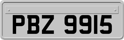 PBZ9915