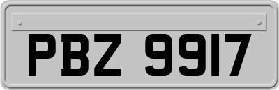 PBZ9917