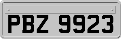 PBZ9923