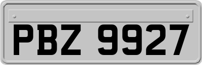 PBZ9927