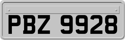 PBZ9928