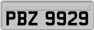 PBZ9929