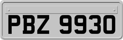 PBZ9930