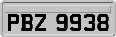 PBZ9938