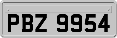 PBZ9954