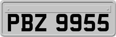 PBZ9955