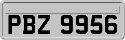 PBZ9956