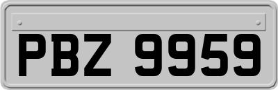 PBZ9959