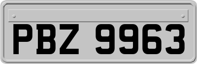 PBZ9963