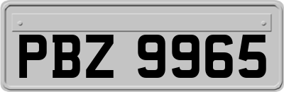 PBZ9965