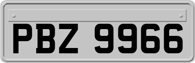 PBZ9966