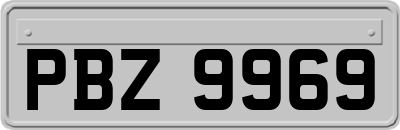 PBZ9969