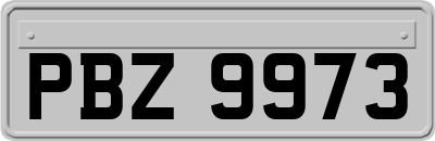 PBZ9973