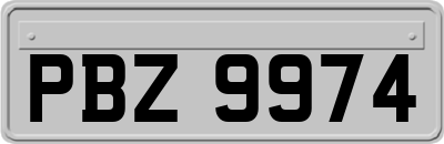 PBZ9974