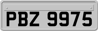 PBZ9975