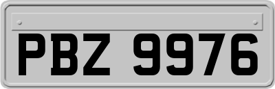 PBZ9976