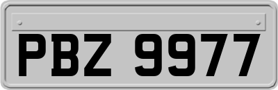 PBZ9977