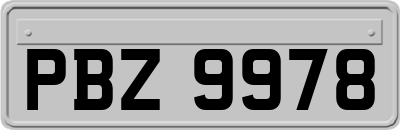 PBZ9978