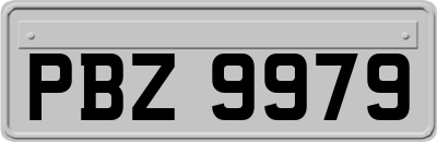 PBZ9979