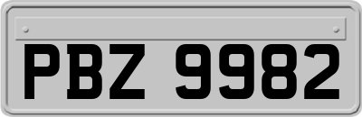 PBZ9982