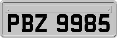 PBZ9985