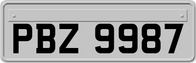 PBZ9987