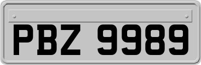 PBZ9989