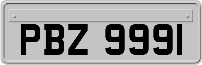 PBZ9991