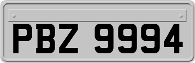 PBZ9994