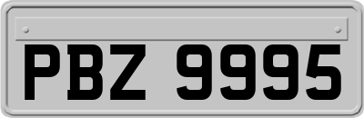 PBZ9995