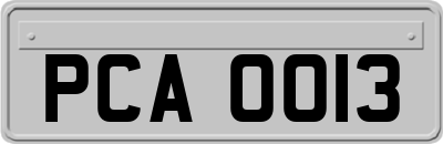 PCA0013