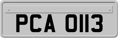 PCA0113