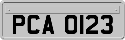 PCA0123